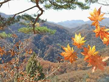 榆次12月實(shí)時(shí)新聞下的自然探索之旅，踏遍美景，尋找心靈綠洲