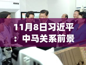 11月8日習(xí)近平：中馬關(guān)系前景光明 未來可期，11月8日習(xí)近平主席談中馬關(guān)系，未來光明，前景可期