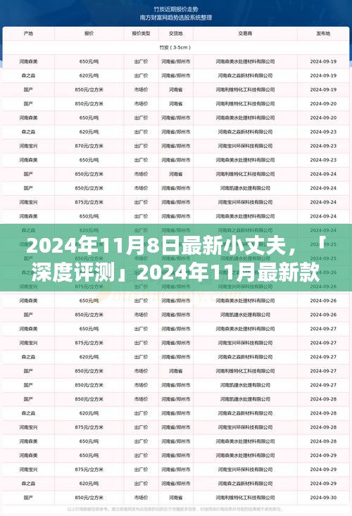 深度評測，全方位解析2024年最新款小丈夫產(chǎn)品特性與用戶體驗體驗報告