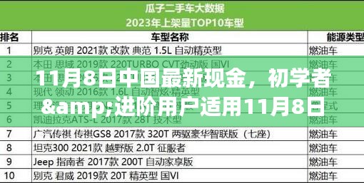 初學(xué)者與進(jìn)階用戶指南，11月8日中國最新現(xiàn)金操作指南及任務(wù)完成步驟詳解