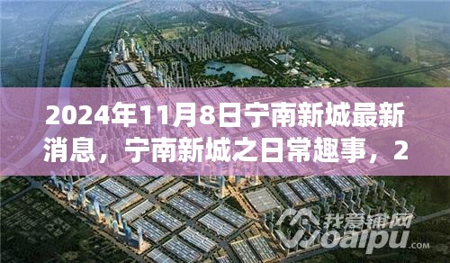 寧南新城日常趣事與陽光溫情，2024年11月8日最新消息