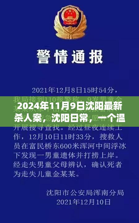 沈陽殺人案背后的友情與陪伴故事，日常溫馨背后的真相（2024年）