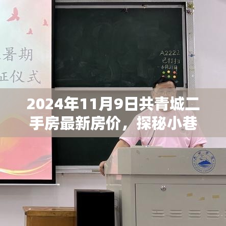 2024年共青城二手房最新房價揭秘，小巷特色小店探秘