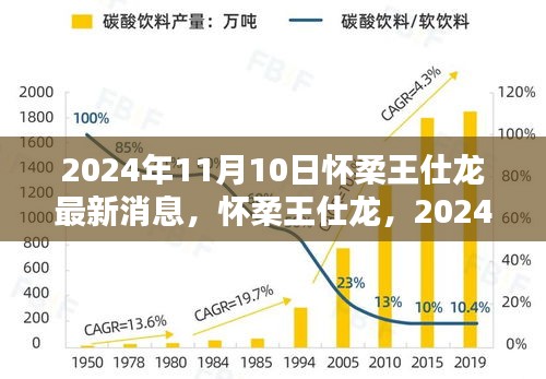 懷柔王仕龍最新動(dòng)態(tài)與深遠(yuǎn)影響力揭曉，2024年11月10日更新