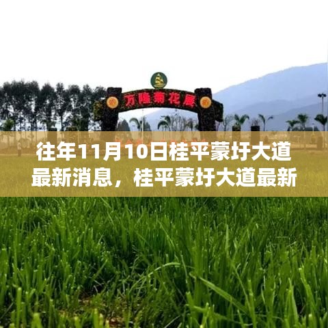 桂平蒙圩大道最新動態(tài)獲取全攻略，輕松掌握最新消息動態(tài)