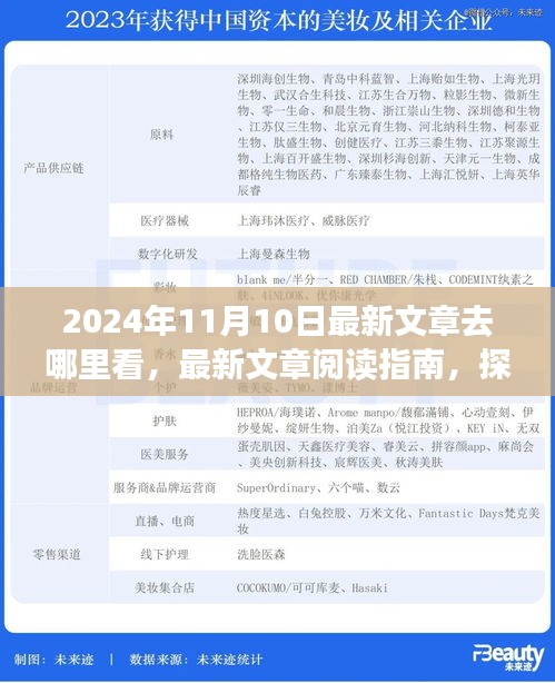 探尋最新文章閱讀指南，揭秘2024年11月10日的精彩內(nèi)容