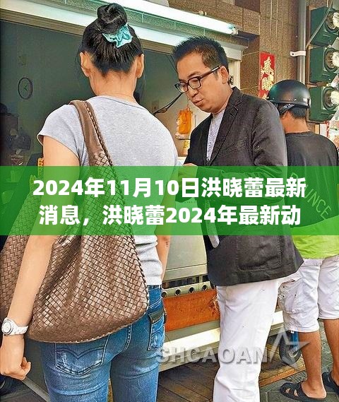 洪曉蕾2024年最新動態(tài)，演藝事業(yè)新征程聚焦報(bào)道