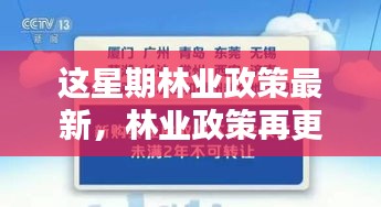 林業(yè)政策最新動向，本周更新及其時代影響力分析