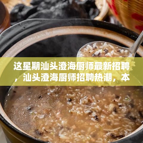 汕頭澄海廚師招聘熱潮揭秘，本周最新動態(tài)與影響