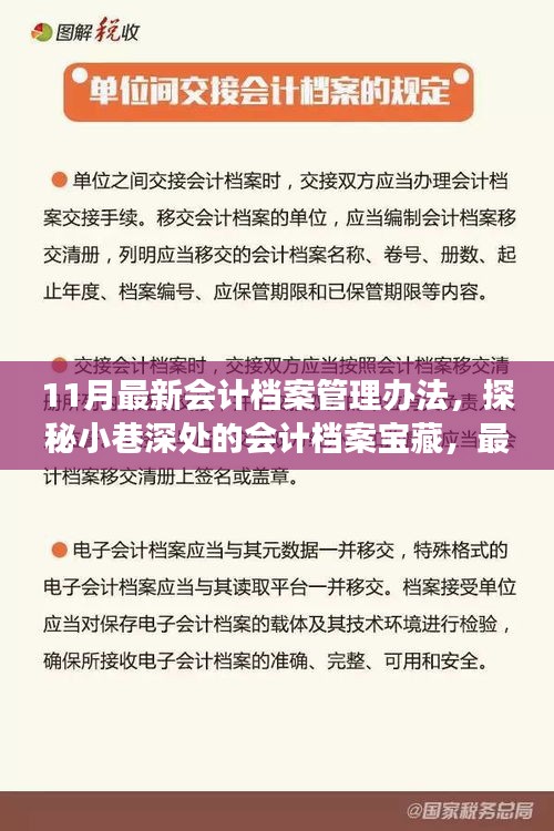 探秘最新會計檔案管理辦法，小巷深處的寶藏與獨特故事揭秘