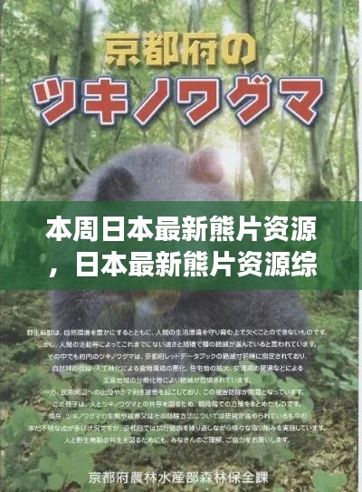 日本最新熊片資源綜述，背景、進展與特定領(lǐng)域地位探討