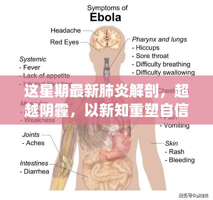 超越陰霾，最新肺炎解剖啟示錄，重塑信心與新知的探索