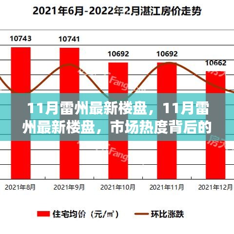 市場熱度背后的深度解讀與個(gè)人立場，11月雷州最新樓盤觀察