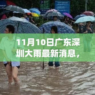 廣東深圳暴雨背后的美景秘境，心靈洗滌之旅