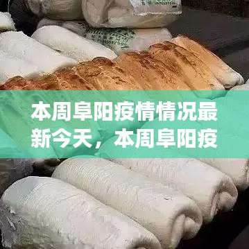 本周阜陽(yáng)疫情最新動(dòng)態(tài)，今日疫情分析、防控成效與多方觀(guān)點(diǎn)聚焦