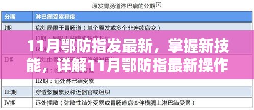 11月鄂防指最新操作流程步驟指南，掌握新技能的詳解