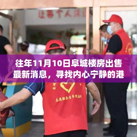 阜城樓房最新出售消息，尋找心靈寧靜的自然探索之旅