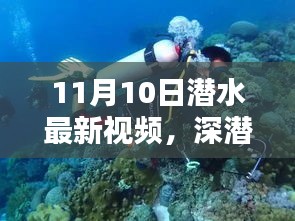 揭秘深潛新紀元，潛水最新視頻的時代意義與影響（11月10日更新）