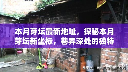 探秘本月芽壇新坐標，巷弄深處的獨特小店最新地址揭秘