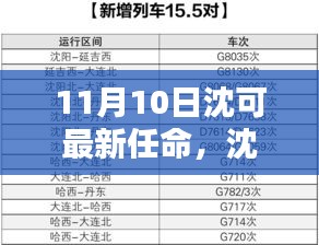 沈可新任命的背后，背景、影響與時代地位分析（最新更新）