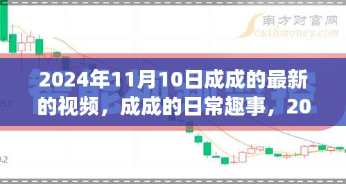 成成的日常趣事，2024年11月10日的溫馨時光記錄