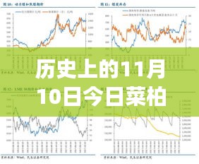 歷史上的11月10日，菜柏價格背后的勵志故事與最新行情，自信成就感的源泉