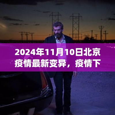 北京疫情最新變異下的溫情與友情日常，2024年11月10日最新觀察