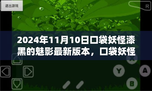 口袋妖怪漆黑的魅影，最新版本的探索與影響