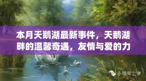 本月天鵝湖畔的溫馨奇遇，友情與愛的力量的展現(xiàn)