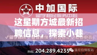 方城最新招聘信息揭秘，小巷秘境與獨(dú)特小店之旅