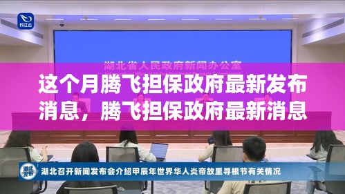 騰飛擔(dān)保政府最新消息解讀與操作指南，初學(xué)者與進(jìn)階用戶必讀指南