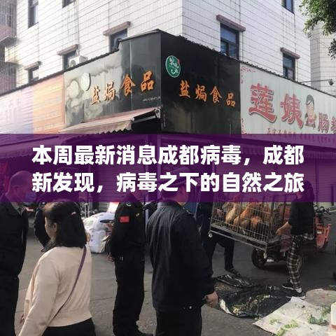 成都病毒新發(fā)現(xiàn)，自然之旅中的心靈港灣探尋