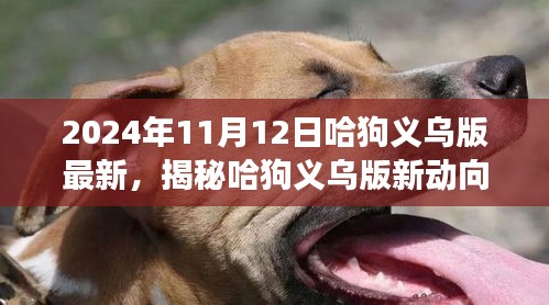 揭秘哈狗義烏版新動向，深度解讀與最新動態(tài)（2024年11月12日）