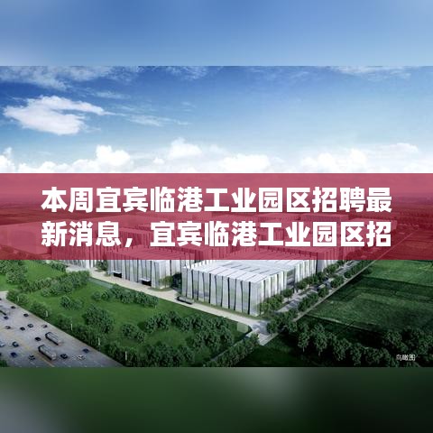 宜賓臨港工業(yè)園區(qū)招聘最新動態(tài)，科技新紀(jì)元引領(lǐng)高科技產(chǎn)品體驗報告