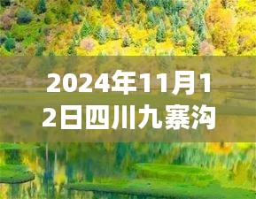 2024年11月12日四川九寨溝最新情況，自然恢復(fù)與旅游新篇章開啟