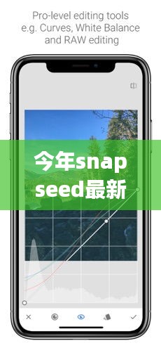 Snapseed最新版下載，回顧發(fā)展歷程，時(shí)代印記下的影響與地位