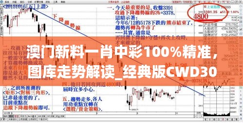 澳門新料一肖中彩100%精準(zhǔn)，圖庫走勢(shì)解讀_經(jīng)典版CWD305.61