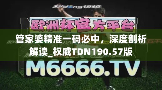 管家婆精準(zhǔn)一碼必中，深度剖析解讀_權(quán)威TDN190.57版