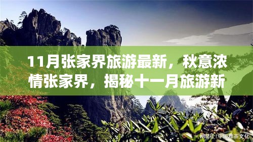 揭秘十一月張家界秋意濃情，最新旅游指南開啟新篇章