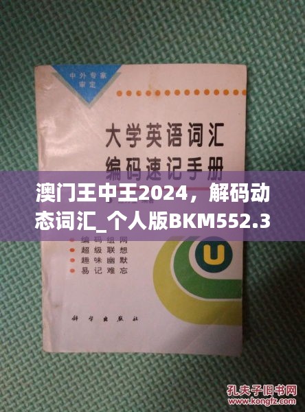 澳門王中王2024，解碼動態(tài)詞匯_個人版BKM552.33指南