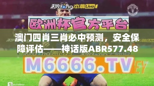 澳門四肖三肖必中預(yù)測，安全保障評估——神話版ABR577.48