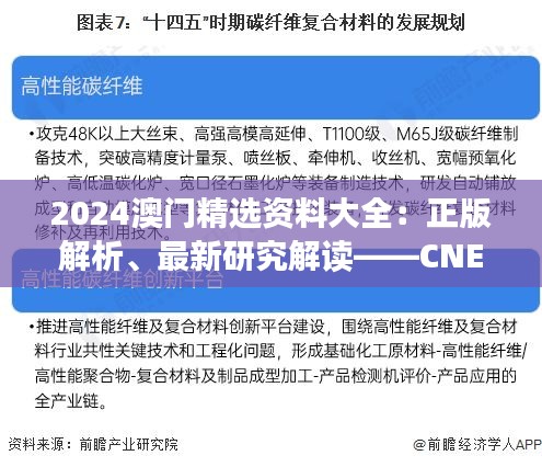 2024澳門精選資料大全：正版解析、最新研究解讀——CNE350.58可變版