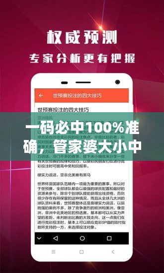 一碼必中100%準確，管家婆大小中特解析，戶外版ZNA113.77深度剖析