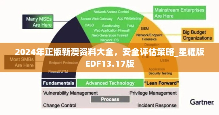 2024年正版新澳資料大全，安全評估策略_星耀版EDF13.17版