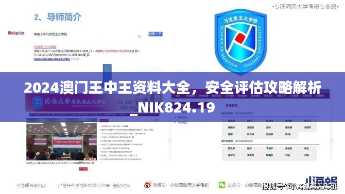 2024澳門王中王資料大全，安全評估攻略解析_NIK824.19