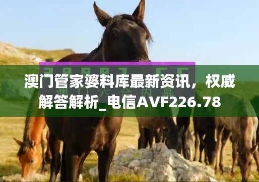 澳門管家婆料庫最新資訊，權(quán)威解答解析_電信AVF226.78