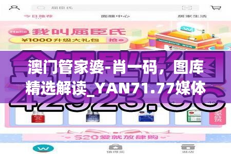 澳門管家婆-肖一碼，圖庫精選解讀_YAN71.77媒體版