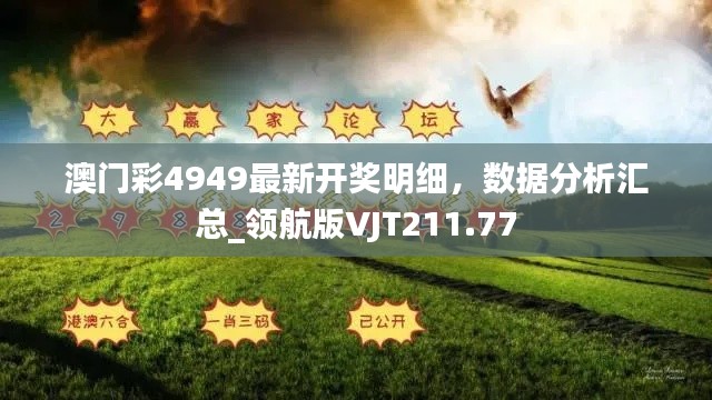 澳門彩4949最新開獎(jiǎng)明細(xì)，數(shù)據(jù)分析匯總_領(lǐng)航版VJT211.77