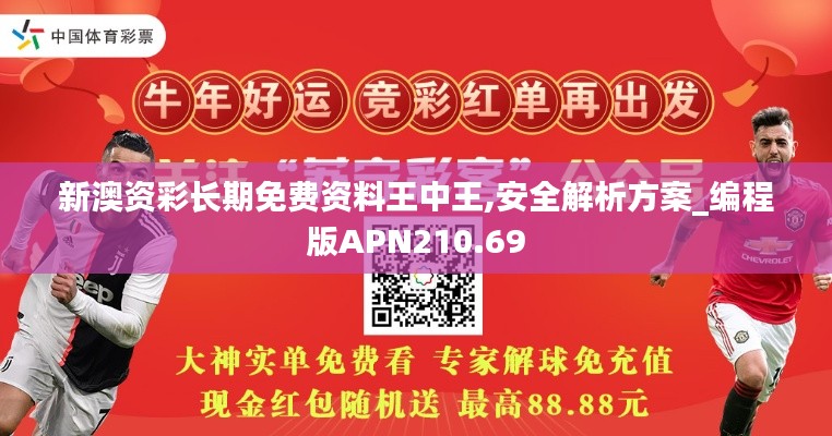 新澳資彩長(zhǎng)期免費(fèi)資料王中王,安全解析方案_編程版APN210.69