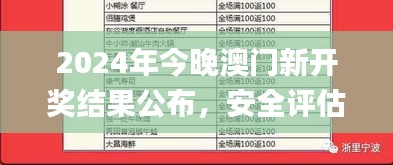 2024年今晚澳門新開獎(jiǎng)結(jié)果公布，安全評(píng)估策略_個(gè)人版ODS705.26